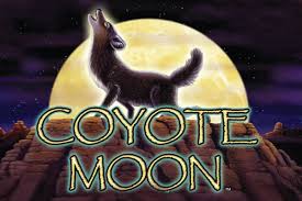 coyote moon slots