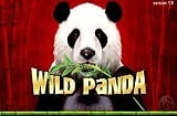 Wild Panda Slot