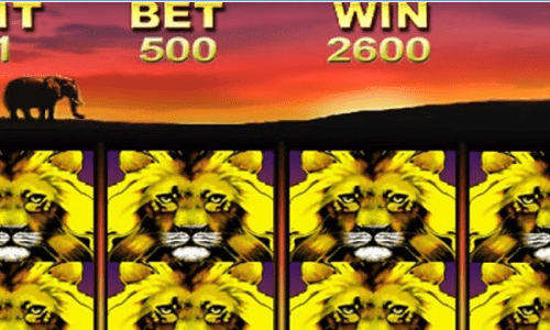 100 % free Twist Local casino No-deposit Extra Codes 2021 https://real-money-casino.ca/wild-shark-slot-online-review/ Totally free Spin Gambling establishment Also offers No-deposit!
