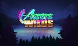 Aurora-Wilds