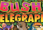 Bush Telegraph Slot Review12