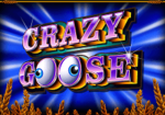 Crazy Goose Slot main 1 1