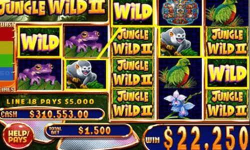 Jungle Wild Slot