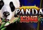 Panda King Slot12 1 1