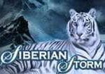 Siberian Storm logo 1