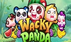 Wacky-Panda-Slot