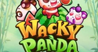 Wacky Panda Slot Review