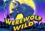 Werewolf Wild main 1