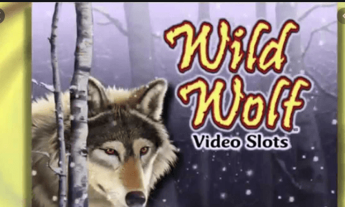 Wild Wolf Slot Review