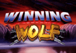 Winning Wolf main 1 1