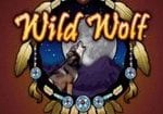 wild wolf 1 1